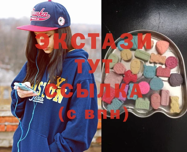 ECSTASY Богородицк