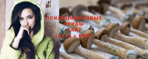 ECSTASY Богородицк