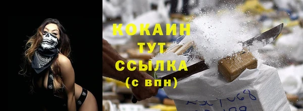 ECSTASY Богородицк