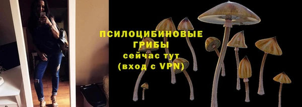 ECSTASY Богородицк