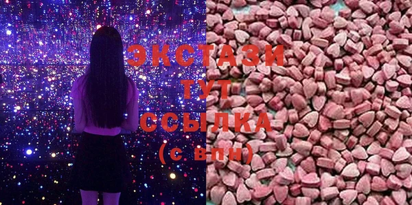ECSTASY Богородицк