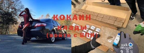 ECSTASY Богородицк