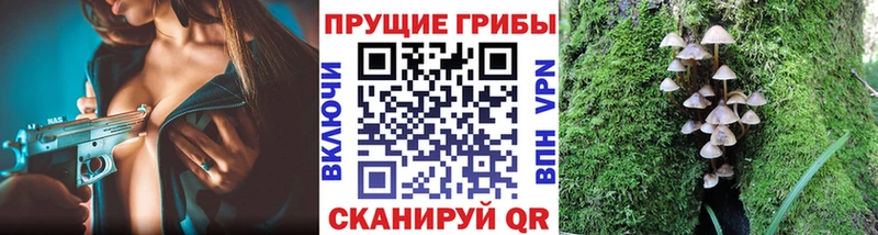 Купить закладки  Микунь  Псилоцибиновые грибы Psilocybe 